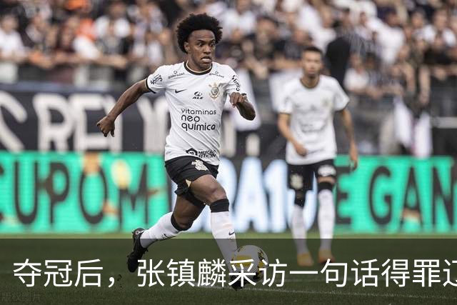 夺冠后，张镇麟采访一句话得罪辽宁，辽蜜：有本事到四川证明价值