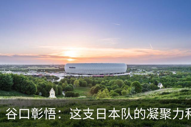 谷口彰悟：这支日本队的凝聚力和团队精神，是我生涯见过最强的